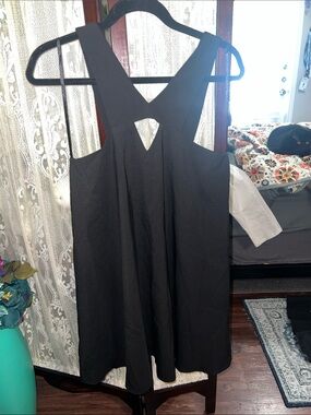 Love Riche Black Sleeveless Mini Dress with V-Back Cutout